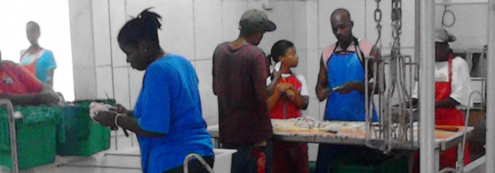 Processing Plant Staff
